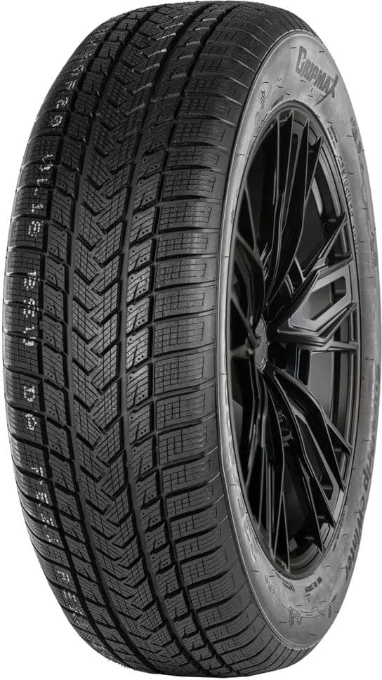 Gripmax SureGrip eWinter — фото поставщика